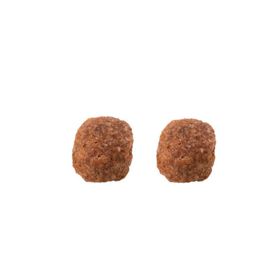 Ração Balance Premium Especial Cães Filhote Raças Médias E Grande Carne 900g