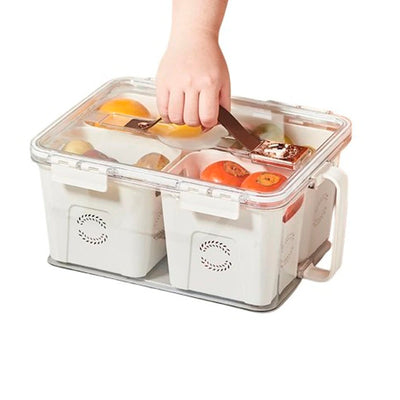 Organizador de Geladeira com 4 Divisórias e Alça