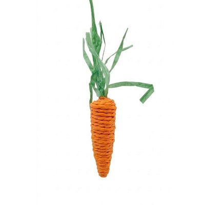 Brinquedo para Pet Formato Cenoura-16x3 cm
