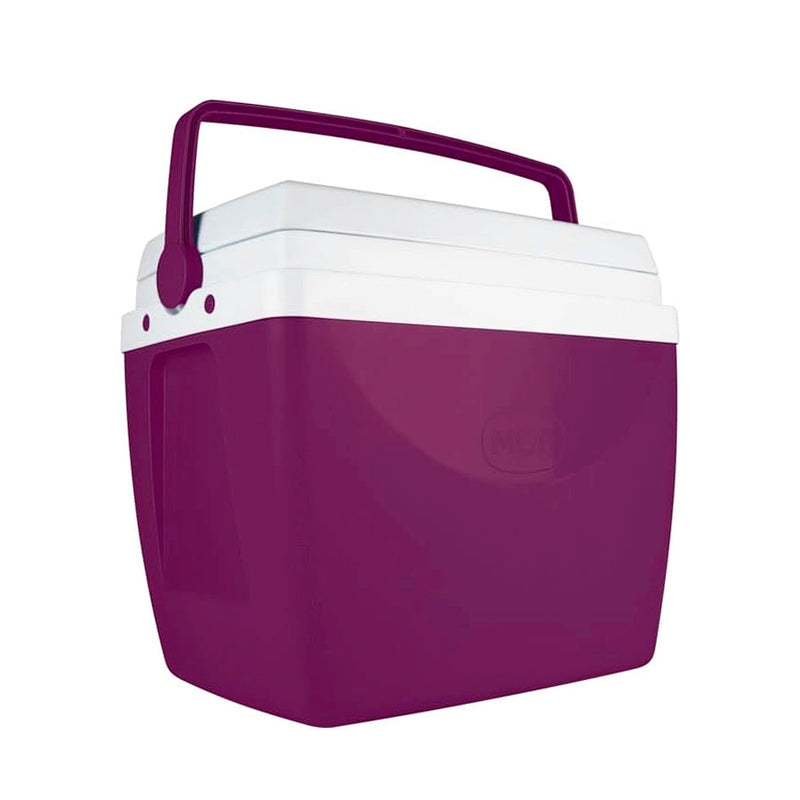 Caixa Termica Berinjela Roxo - 34L