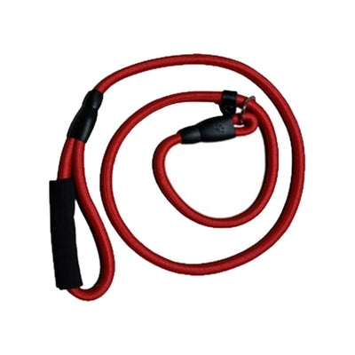 COLEIRA E GUIA PREMIUM PARA PASSEIOS SEGUROS 1.2CM X 120CM