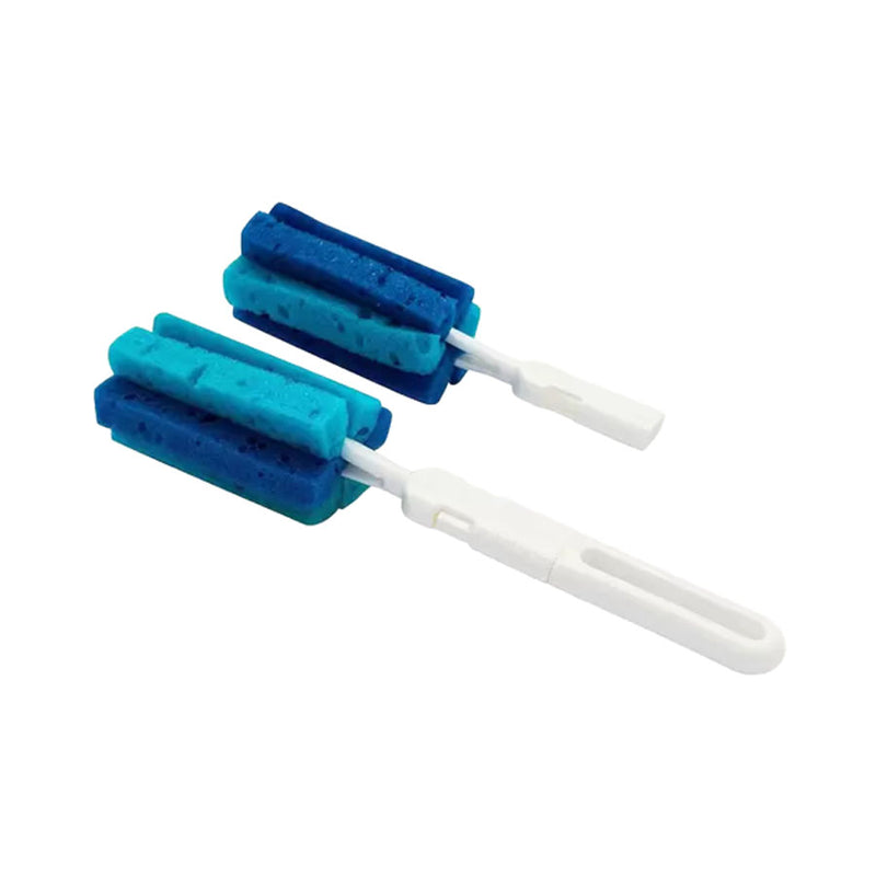 Escova de Limpeza com Esponja Azul - Lolly
