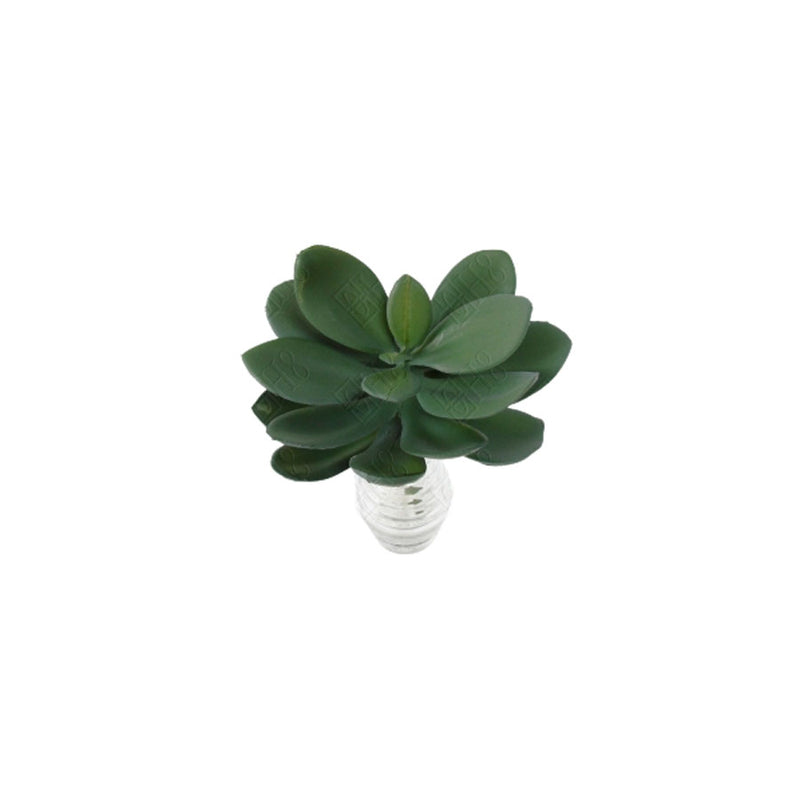 Suculenta Artificial 14cm