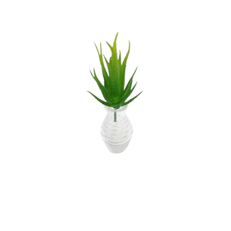 Suculenta Artificial 11cm