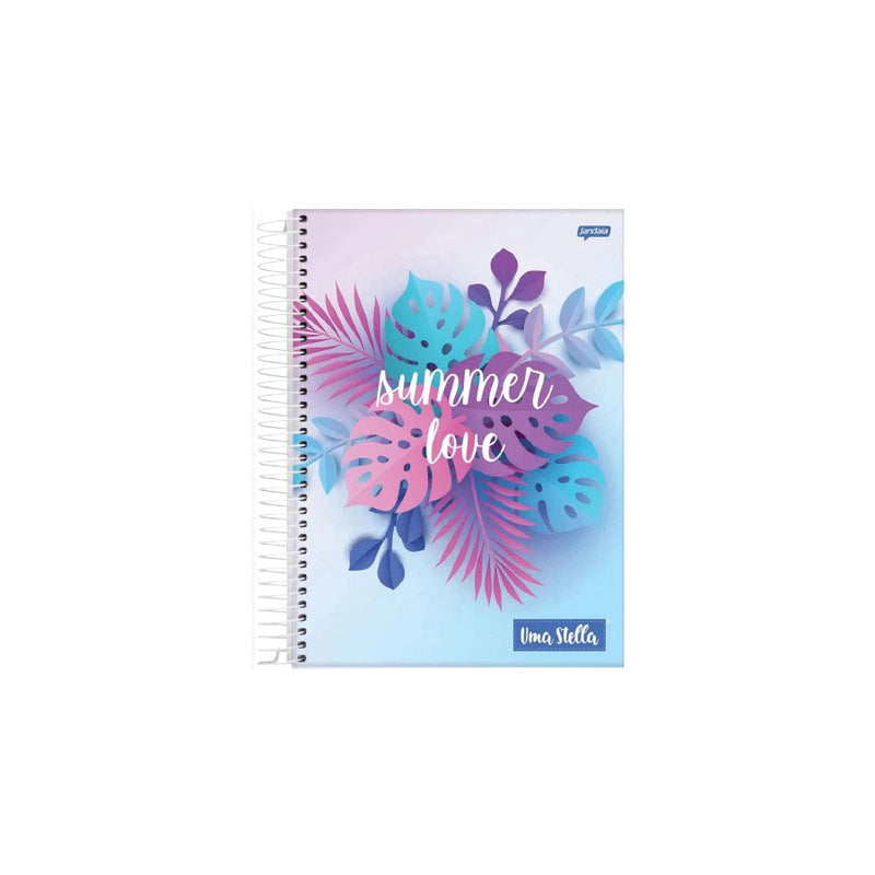 CADERNO UNIVERSITÁRIO CAPA DURA 10 MATÉRIAS 160 FOLHAS STELLA - JANDAIA SORTIDO