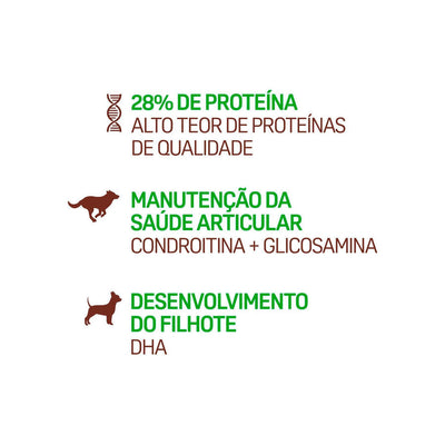 Ração Balance Premium Especial Cães Filhote Raças Médias E Grande Carne 900g