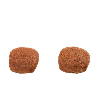Ração Balance Premium Especial Cães Adulto Raças Médias E Grande 900g