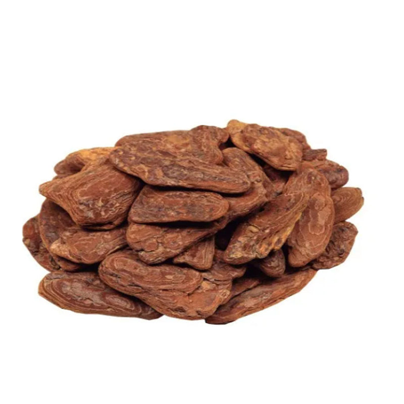 Casca Pinus polida para proteção da terra G 1Kg