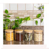 Conjunto 3 Potes Herméticos Com Tampa Bamboo 270 Ml Deli