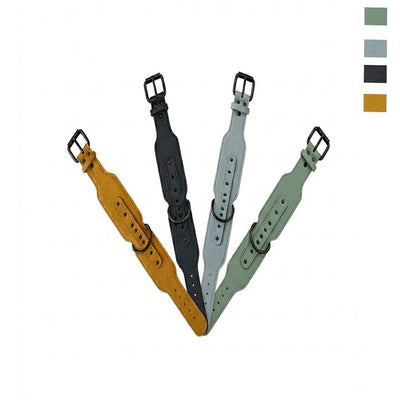 Coleira Para Pet Cores Diversas - 77cm