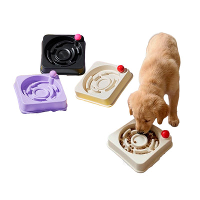 Comedouro Em Plastico Pet Educativo - Cores Sortidas