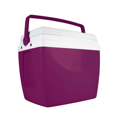 Caixa Termica Berinjela Roxo - 34L