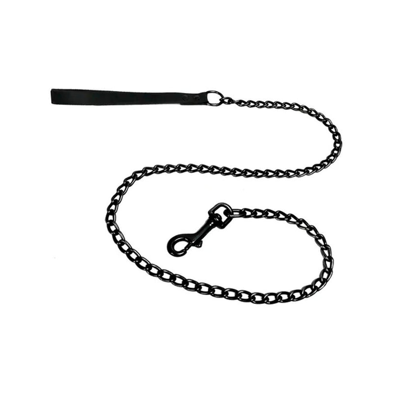 Coleira com Guia para Pet 2,5 × 120 cm