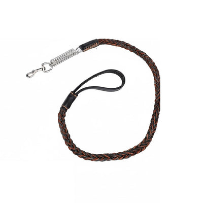 Coleira com Guia para Pet 1,5 × 120 cm