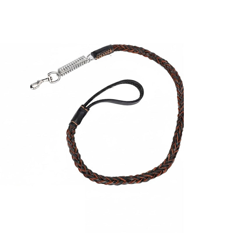 Coleira com Guia para Pet 1,5 × 120 cm