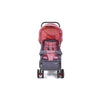 Carrinho de Bebê Luck Voyage - Rosa Boreal