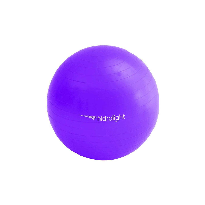 Bola de Exercício 65cm Roxa