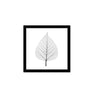 Quadro Decorativo 33X33cm Sortido 01 unidade - Euroquadros