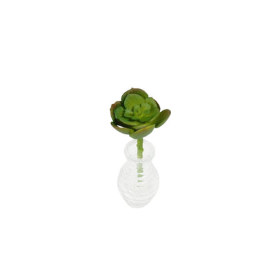 Suculenta Artificial 13cm