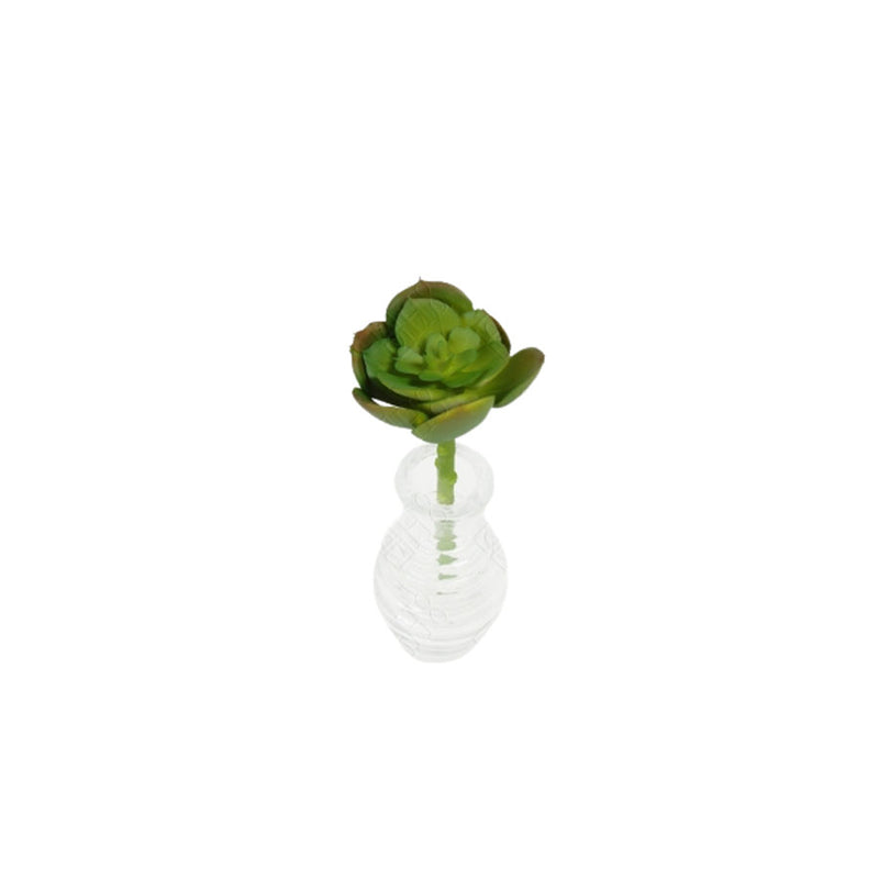 Suculenta Artificial 13cm