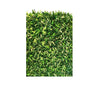 Placa de Grama Artificial Samambaia 40x60 SNV-D153