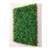 Placa Grama Artificial  Buchinho  40X60 SNV-D145