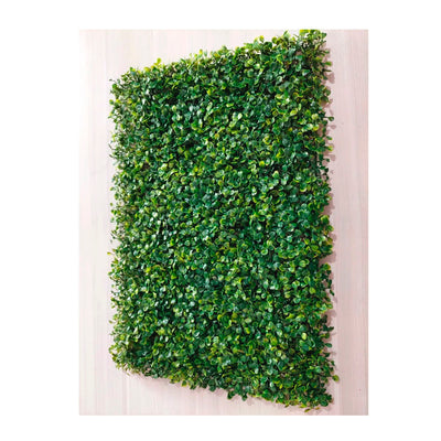 Placa Grama Artificial  Buchinho  40X60 SNV-D145
